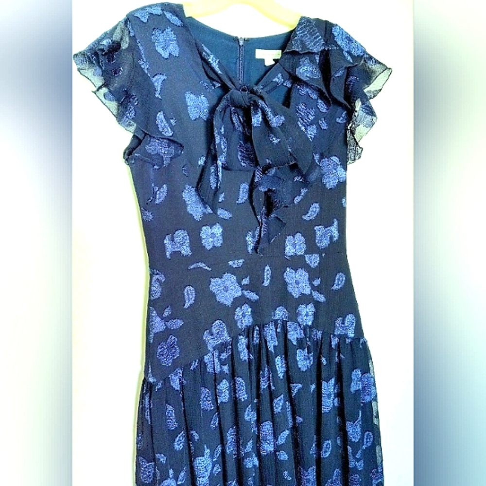 ML Monique Lhuillier Beautiful Semi Sheer Blue Floral Tie-Front Dress Size 8